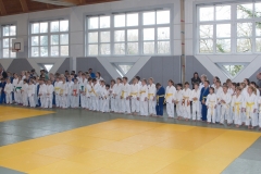 MJP_0241
