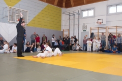 MJP_0326